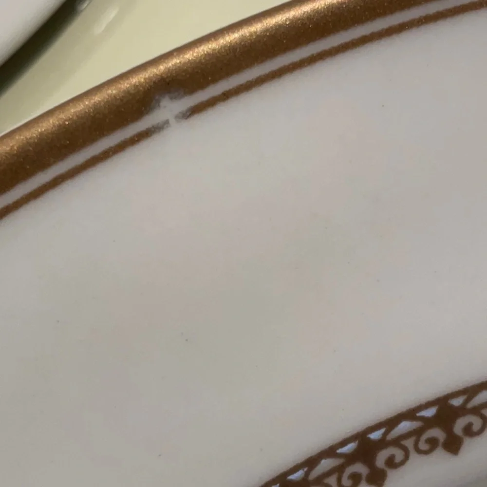Fabulous, 2012, 4 Williams Sonoma Turkey soup bowls.  Mint, only owner me.